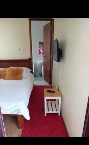 Relaxed studio in kileleshwa